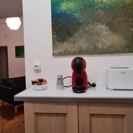 L'absolu 1, Spacieux, Rez-de-chaussee, Securise Apartament Vichy