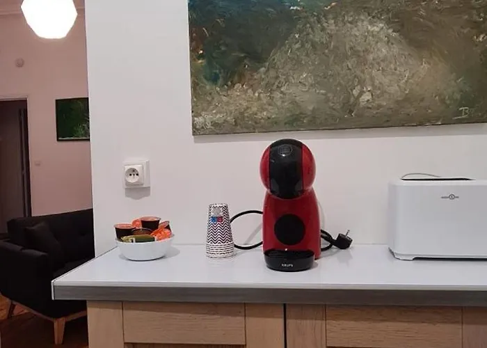 L'absolu 1, Spacieux, Rez-de-chaussee, Securise Апартаменты Виши